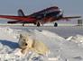Polar-5