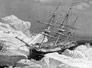hms-investigator_im_eis