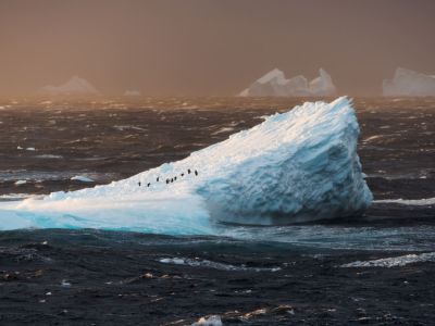 Eisberg in der Bransfield Strait, im Norden der antarktischen Halbinsel (© Vreni & Stefan Gerber)