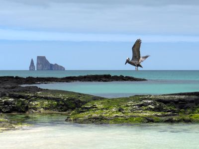 Kicker Rock, Insel San Cristobal, Galapagos.