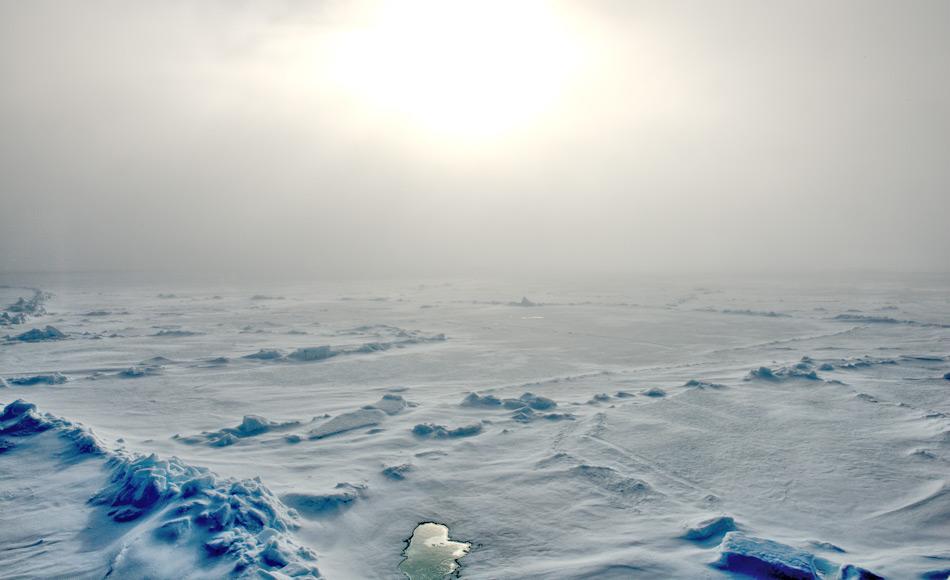 Die Meereisbildung ist ein wichtiger Bestandteil der Arktis und bietet Lebensraum für Robben, Eisbären und viele Meeresvögel über dem Wasser. Doch auch unter Wasser sind viele marine Organismen von diesem jährlichen Prozess abhängig. Bild: Michael Wenger