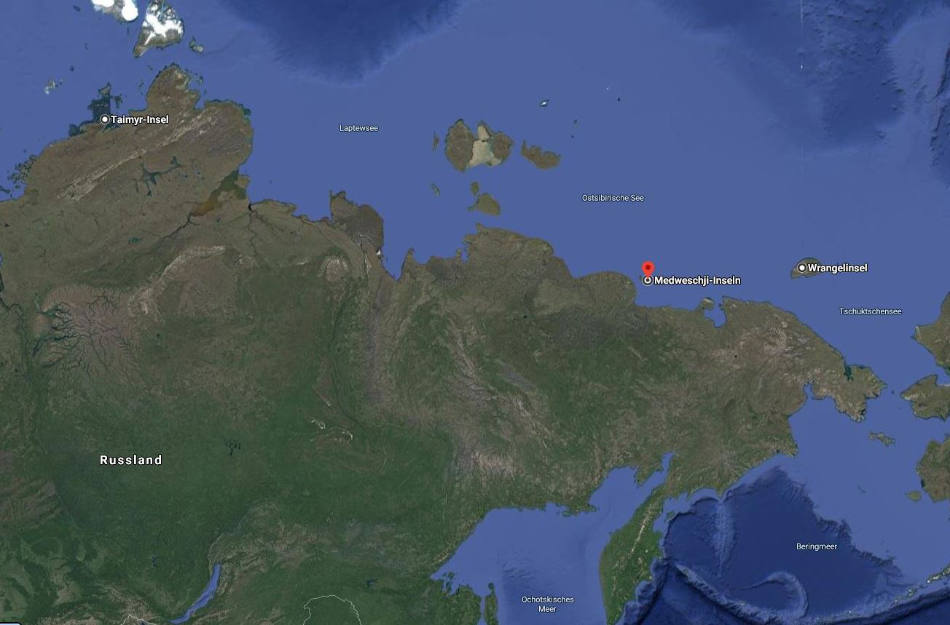 Die Medweschij-Inseln gehÃ¶ren zu den wichtigsten Geburtsorte fÃ¼r EisbÃ¤ren. (Bild: Google Maps)