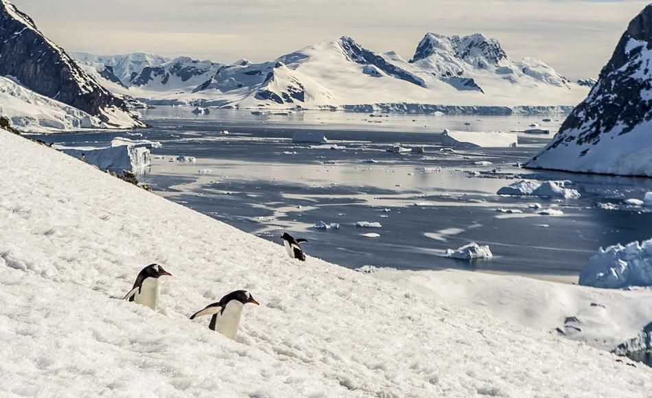 Weltweit größtes Meeresschutzgebiet in der Antarktis ausgewiesen